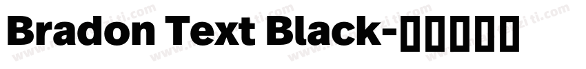 Bradon Text Black字体转换